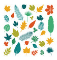 silhouettes of leaves collection vector image