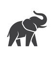 elephant logo icon vector image
