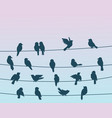 sparrow birds flock on power line wires background vector image