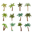 california palm trees summer tropical plant vector image