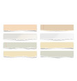 ripped colorful paper strips isolated on white vector image