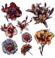 hand drawn flowers set vintage watercolor style vector image
