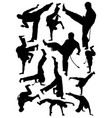 silhouettes capoeira athletes vector image