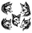 fox head symbol logo vector image