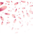 falling pink flower petals vector image vector image