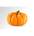 realistic pumpkin isolated on transparency vector image